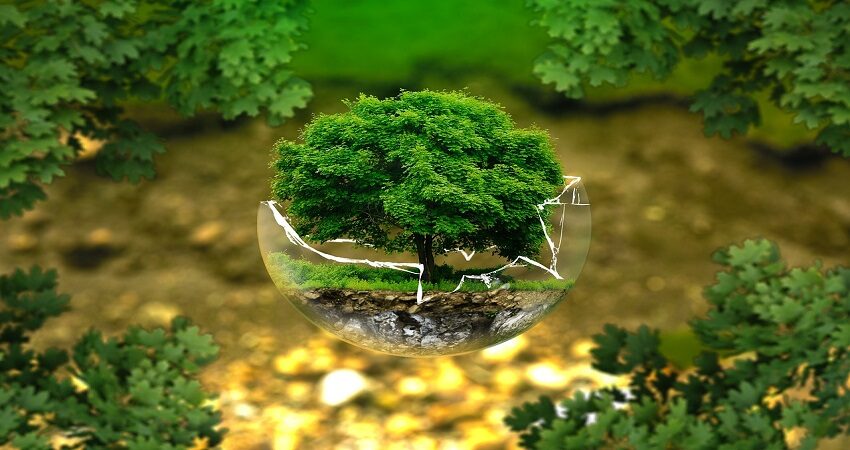 Green jobs: on line il repertorio delle professioni verdi